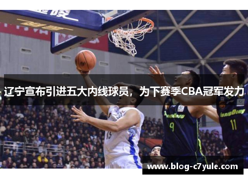 辽宁宣布引进五大内线球员，为下赛季CBA冠军发力